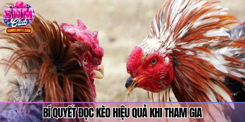 Bí quyết đọc kèo hiệu quả khi tham gia