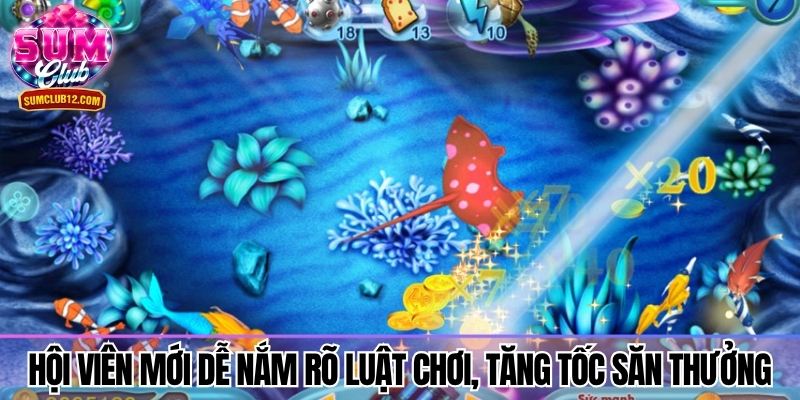 Hội viên mới dễ nắm rõ luật chơi, tăng tốc săn thưởng