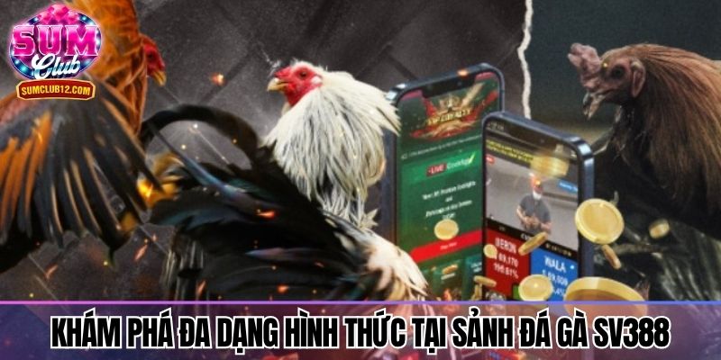 Khám phá đa dạng hình thức tại sảnh đá gà SV388