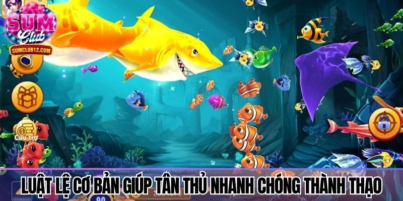 Luật lệ cơ bản giúp tân thủ nhanh chóng thành thạo