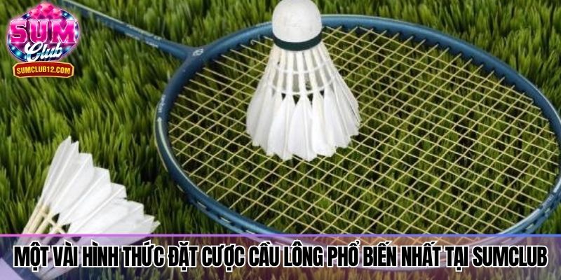 Một vài hình thức đặt cược cầu lông phổ biến nhất tại Sumclub