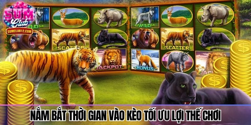 Nắm bắt thời gian vào kèo tối ưu lợi thế chơi