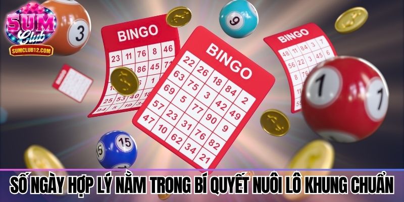 Số ngày hợp lý nằm trong bí quyết nuôi lô khung chuẩn