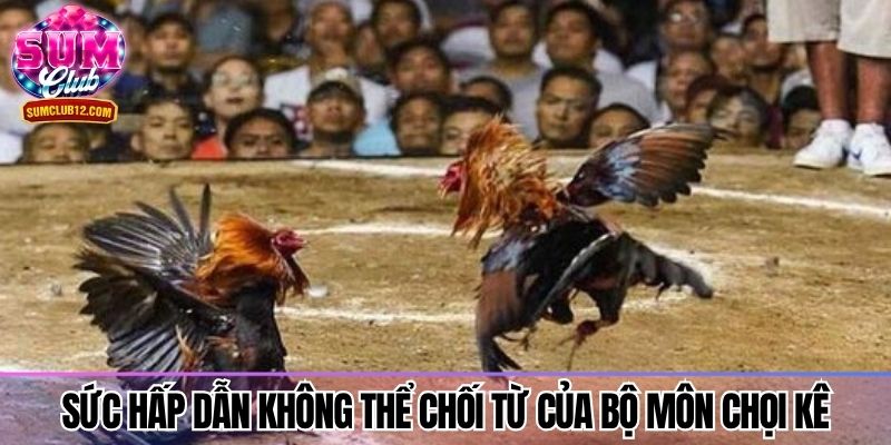 Sức hấp dẫn không thể chối từ của bộ môn chọi kê
