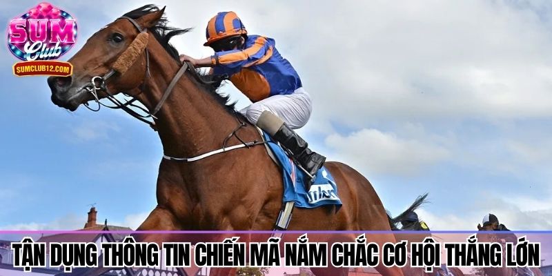 Tận dụng thông tin chiến mã nắm chắc cơ hội thắng lớn