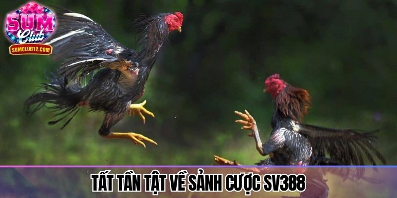 Tất tần tật về sảnh cược SV388