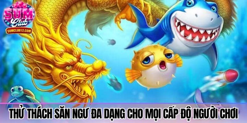 Thử thách săn ngư đa dạng cho mọi cấp độ người chơi