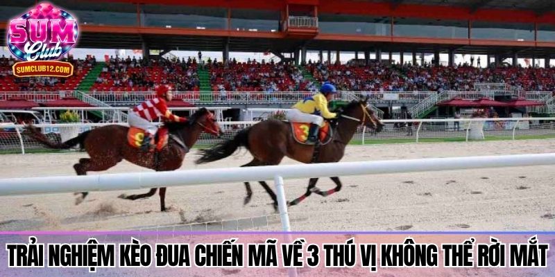 Trải nghiệm kèo đua chiến mã về 3 thú vị không thể rời mắt